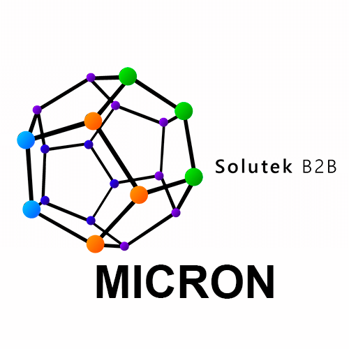 Micron